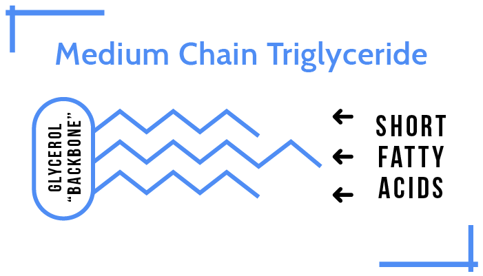 Medium chain triglycerides что это