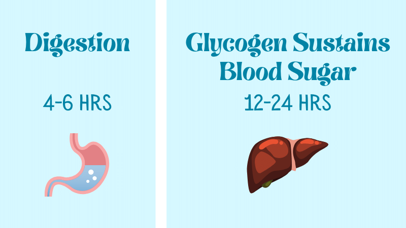 Glycogen-Sustains-Blood-sugar-during-intermittent-fasting-5-21.png